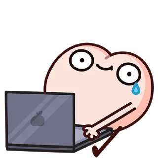 👨‍💻