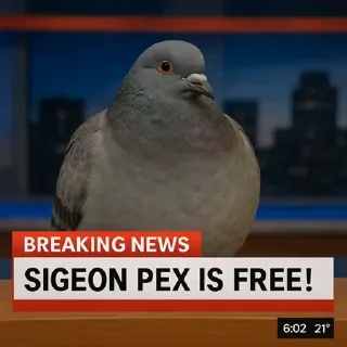 🤩