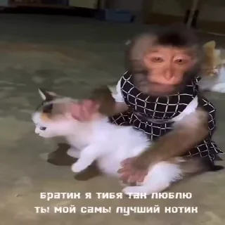 ❤