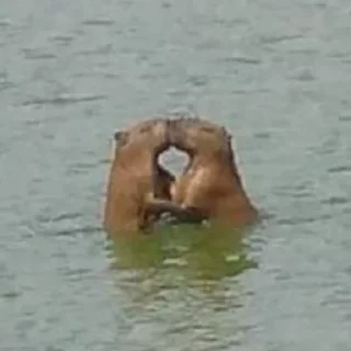❤️