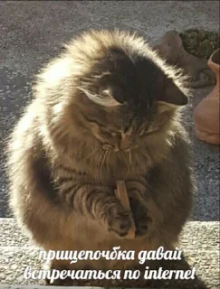 📡