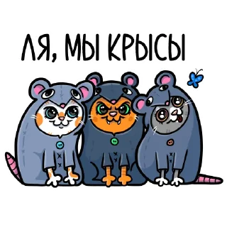 кошечки мои приедуть