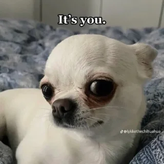 🧑
