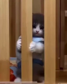 🥺
