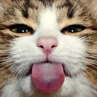 👅