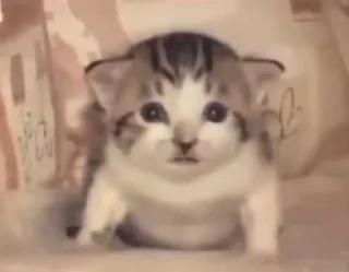 😶