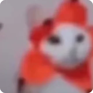 🎉