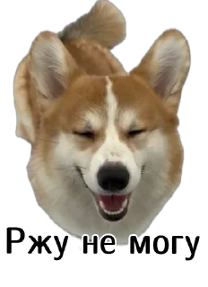 😂