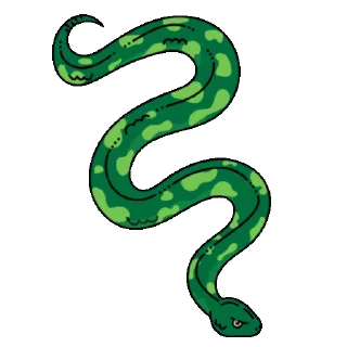 🐍