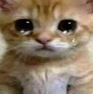 😢