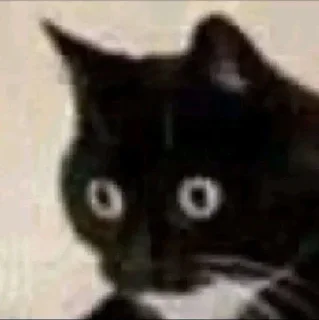 😱