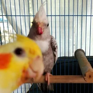 🙂