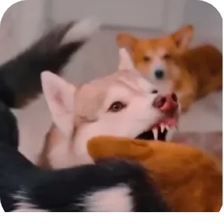 👍