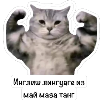 🫥