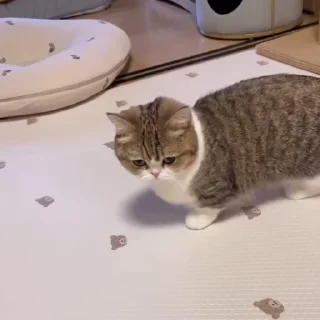 😠