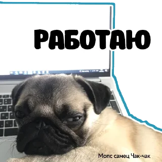 😞