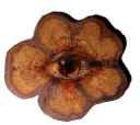👁