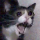 😨