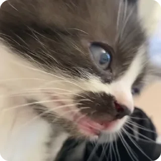 😦