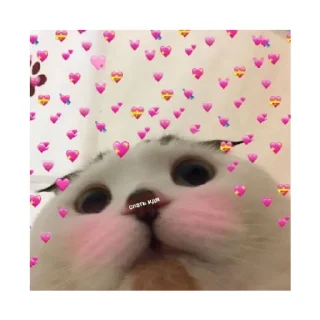 😴