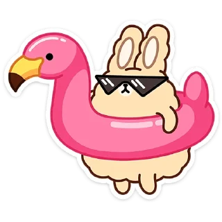 😎