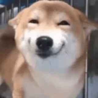 ☺️
