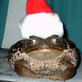 🎅