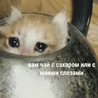 😭