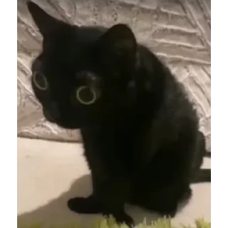 😳