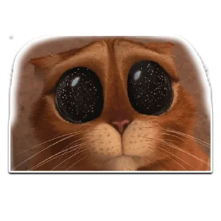 😱