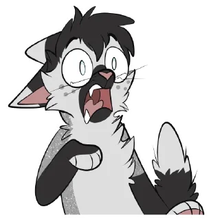🙀
