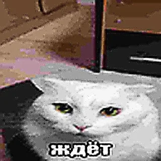 😨
