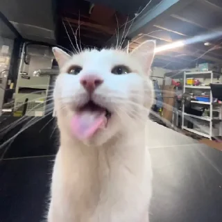😛