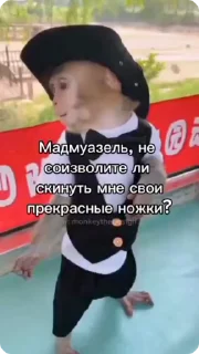 🎩