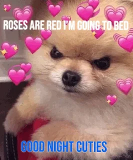 🌹