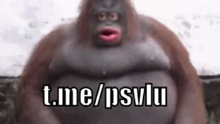 💰