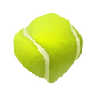 🎾