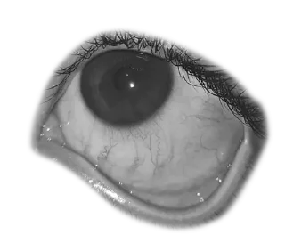 👁