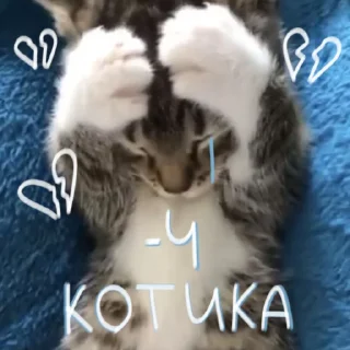 😿