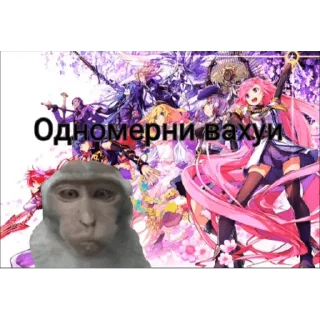 🐵