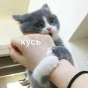 ☺️