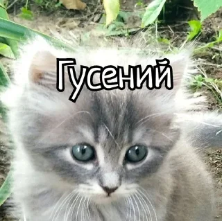 😁