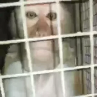 😎