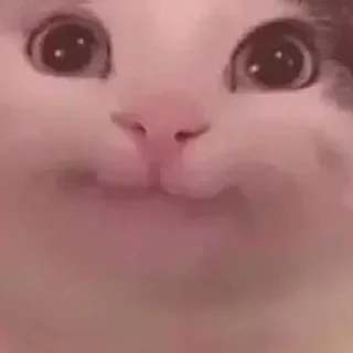😁