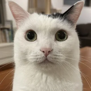 🙂