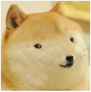 😶