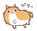 🐶