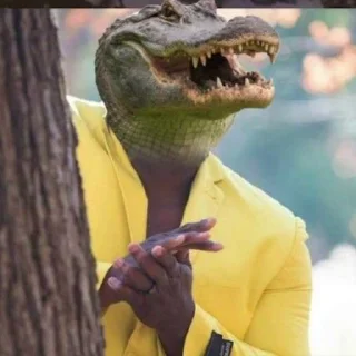🐊