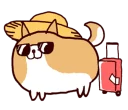 🐶