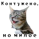 😅